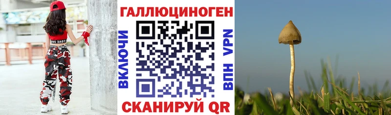 Галлюциногенные грибы Psilocybe  купить  сайты  Зуевка 